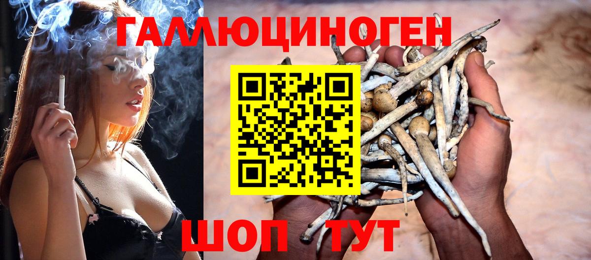 Псилоцибиновые грибы Psilocybe  Галлюциногенные грибы прущие грибы  Трёхгорный  Вход с VPN 